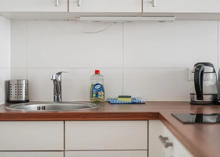 Apartment Next To Karlskirche Wien